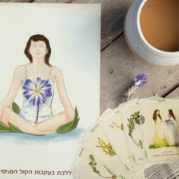 עיצוב ללא שם